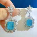 wholesale S925 Silver New European and American Style Paraiba Color Earrings Ear Drops with Micro-Set Ear Accessories by Zhuozhifan Jewelry-0-2