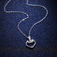 S925 Sterling Silver Forbidden City Longevity Locket Moissanite Necklace-Chain + pendant  925 silver