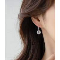wholesale S925 Sterling Silver Women's Summer Long Korean Style Elegant Fashion Simple Zircon Earrings High-End Ear Accessories-00137-10mm earrings 925 silver