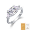 Metal Material Fashion Silver Non-Fading Moissanite Luxury Ring, Custom Processing for Cross-Border Niche Premium Sales-0-9