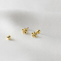 wholesale S925 Sterling Silver Light Surface Screw Small Flower Earrings Women's Minimalist Five-Petal Flower Small Ear Accessories M01031-0-2