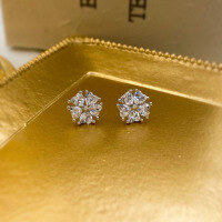 wholesale S925 Silver Maker Five-Heart Zircon Star Stud Earrings for Women, Small and Exquisite, Niche Design, Simple and Versatile, Luxury Minimalist Earrings-Six-ring heart earrings>925 silver