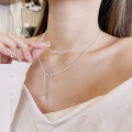 wholesale S925 Sterling Silver European and American Cross-Border Fashion OL Minimalist Fresh and Unique Temperament Niche Design Double-Layer Necklace-0-3