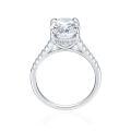 wholesale 925 Sterling Silver Cross-border 55ct Carat Diamond Ring Oval 5A Ice Flower Princess Cut Cubic Zirconia Women's High-end Light Luxury-0-4