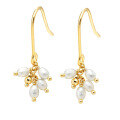 wholesale S925 Silver Plated 14k Gold Spring New Arrival Fashion OL Simple and Versatile Freshwater Pearl Earrings-0-0