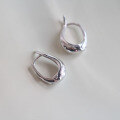 wholesale Sterling Silver Horse Hoop Earrings for Women Newest Trendy High-end Minimalist Unique Stud Earrings-0-2