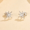 wholesale 925 Sterling Silver Octagram Zircon Ear Studs Fashion Light Luxury Sweet Niche Design High-End INS Style Earrings-0-2