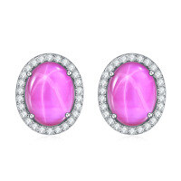 wholesale S925 Silver Cultivated Star Ruby and Sapphire Light Luxury Earrings, Exquisite Micro-Set Gemstone Stud Earrings-Starlight Ruby Earrings