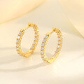 wholesale S925 Sterling Silver Moissanite Full Hoop Earrings Women Ins Popular Style Elegant Earrings Hot Sale Ready to Ship Wholesale-0-1