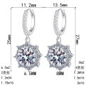 S925 Silver Moissanite Octagonal Ear Studs, Elegant Luxury Holiday Gift-0-3