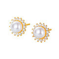 wholesale S925 Sterling Silver Shell Pearl Earrings Light Luxury Versatile Ear Clips Small Design Sense Ins Earrings for Women-0-6