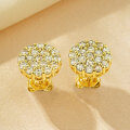 Metal Alloy Round Fashion Earrings with Sparkling Zircon, Essential Commuter Light Luxury Ins Style Accessories Wholesale-0-1