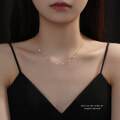 wholesale S925 Sterling Silver Women's Fashion Minimalist Choker Necklace With Cubic Zirconia-0-3