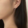 wholesale S925 Sterling Silver Light Luxury High-End C-Shaped Zircon Design Semi-Circle Earrings for Women, Exquisite and Versatile Ins Style Earrings-0-2