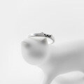 wholesale Metal S925, simple open ring for women, Korean style minimalist cute cat hugging brushed hand accessory J3321-0-3