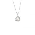wholesale S925 Sterling Silver Maker's Natural Pearl Zircon Necklace, Fashionably Simple and Exquisite, Elegant and Sophisticated Collarbone Chain-0-4