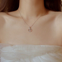 Sterling Silver Moissanite Women's Necklace, 2025 New Clavicle Chain-White gold  Moissanite