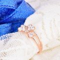 wholesale 18K Gold New Valentine's Day Luxury Four-Leaf Clover Diamond Ring, 14K Gold Moissanite Ring, 9K Zirconia Ring-0-3