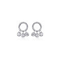 wholesale S925 Sterling Silver Korean Style Fresh and Minimalist Geometric Hoop Earrings for Women, Elegant Diamond-Inlaid Tassel Earrings G7515-0-4
