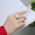 wholesale S925 Sterling Silver Ring Moissanite 10 Carat Women's New Fashion One Finger Vast Ring Factory Stock Wholesale-0-3
