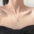 wholesale S925 Silver Fresh and Sweet Ins Style Niche Design Exquisite Diamond-Inlaid Brushed Floral Necklace Y02116-0-1