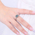 wholesale S925 Sterling Silver 25 Carat Small-Design Natural Moss Agate Ring with Green Moss Gemstone for Export-0-3
