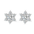 wholesale S925 Sterling Silver Cross-Border 50-Point 1-Carat Moissanite Stud Earrings Hexagram Full Diamond Fashion Ear Clips Wholesale-0-5
