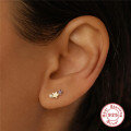 wholesale S925 Sterling Silver Zodiac Birthstone Star Stud Earrings with Diamonds-0-2