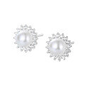 wholesale S925 Sterling Silver Shell Pearl Earrings Light Luxury Versatile Ear Clips Small Design Sense Ins Earrings for Women-0-7