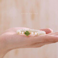 wholesale S925 Sterling Silver Yahee Clover Hetian Jade Bracelet for Women, New Chinese Style Small and Fresh Cultured Freshwater Pearl Bracelet-0-3