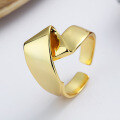 wholesale S925 Sterling Silver Irregular Smooth Twist Open Ring INS-0-3