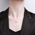 Sterling Silver Freshwater Pearl Necklace Women's Light Luxury Pendant-0-2