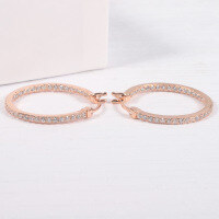 wholesale 925 Sterling Silver Fashionable and Unique Zirconia and Nano Stone Round Earrings, European and American Style Internet Celebrity Hoop Earrings, Available for Drop Shipping-White zircon earrings>925 silver