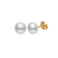 wholesale S925 Sterling Silver Cloud-Pull Earrings with 3-6mm Freshwater Pearls, Simple Design, Korean Style Factory Direct-0-16