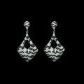 wholesale 925 Silver Gold-Plated Earrings with High-Carbon Diamonds, Zebra Pattern, Fully Set, Exquisite, Luxurious, Fashionable, Versatile Jewelry for Women-0-3