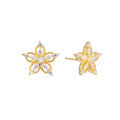 wholesale 925 Sterling Silver Floral Ear Studs Minimalist Elegant Niche High-End Hollow Five-Petal Flower Diamond Accent Earrings for Women-0-4