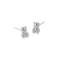 wholesale S925 Sterling Silver EB119 Korean Version INS Original Niche Design Minimalist Versatile Little Bear Earrings for Women-0-5