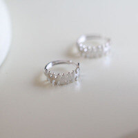 wholesale S925 Sterling Silver Korean-style Creative Trendy Fishbone Pattern Earrings New Simple Stud Earrings-A pair of prices