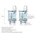 wholesale S925 Silver Fashionable Light Luxury Minimalist Natural Topaz Stud Earrings Gemstone Earrings-0-4