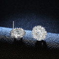 S925 Silver Four-Prong Earrings with Oval, Square, and Fancy-Cut Moissanite-0-3