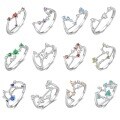 wholesale S925 Sterling Silver Zodiac Birthstone Ring For Women, New Fashion Minimalist Design-0-0