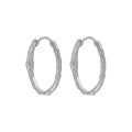wholesale S925 sterling silver Korean version ins niche design textured minimalist irregular frosted matte circle earrings-0-7