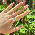 S925 Sterling Silver Princess Cut Single-Head Wedding Ring, Fashion Light Luxury Band, Final Sale with Free Shipping-0-1