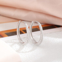 wholesale 925 Sterling Silver Earrings with a Matte Finish, Starry Sky Design, Small and Chic, Versatile Ear Accessories for SheIn and TEMU Drop Shipping-pdd005-Frosted Earrings 925 Silver