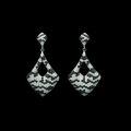wholesale 925 Silver Gold-Plated Earrings with High-Carbon Diamonds, Zebra Pattern, Fully Set, Exquisite, Luxurious, Fashionable, Versatile Jewelry for Women-0-0