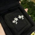 S925 Silver Micro-Pavé Moissanite Star Stud Earrings-0-1