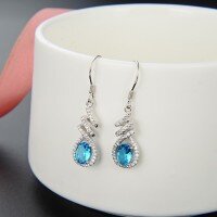 wholesale S925 Sterling Silver Blue Crystal Earrings, Pure Silver Earrings, Small Batch Design, High-End, Unique Style, Zircon Long Drop Earrings-Long Earrings - with Plastic Earplugs>925 Silver