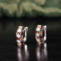 wholesale S925 Sterling Silver Alloy Exotic Style Colored Gemstone Earrings Natural Garnet Crystal Studs New Design-0-3