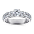 wholesale S925 Silver Hot-selling in Europe and America, Fashionable and Fade-resistant Double Row Diamond Ring, Simulated Diamond Silver Jewelry Wholesale from Manufacturers-0-1
