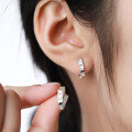 wholesale 925 Sterling Silver Cross-Border NewU-Shaped Earrings Ear Studs Women Ins-0-2